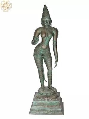 53" Large Devi Sivagami (Goddess Uma) | Madhuchista Vidhana (Lost-Wax) | Panchaloha Bronze from Swamimalai