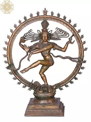 35" Large Lord Nataraja | Madhuchista Vidhana (Lost-Wax) | Panchaloha Bronze from Swamimalai