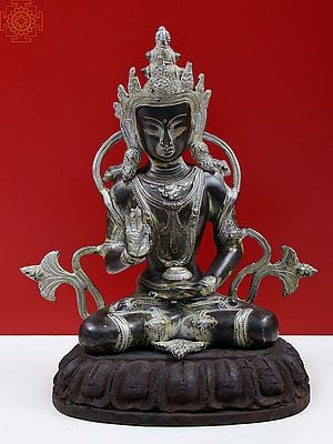 12" Brass Crown Buddha Preaching His Dharma with Wooden Pedestal