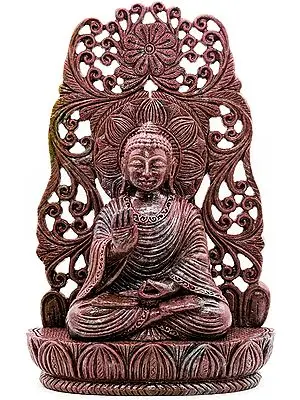 14" Lord Buddha in Ruby Kyanite