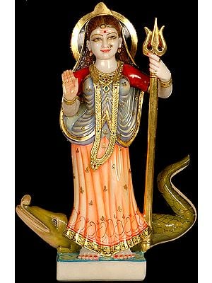 A Rare Form of River Goddess Ganga
