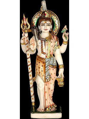 Ardhanarishvara (Shiva Shakti)