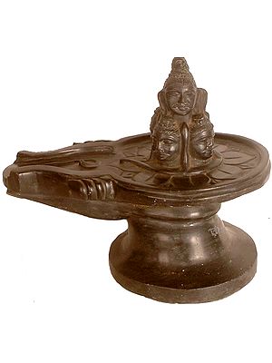 Auspicious Pancha Mukha Linga from Varanasi