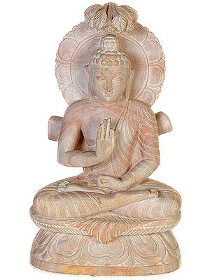 Blessing Buddha Under Bodhi Tree