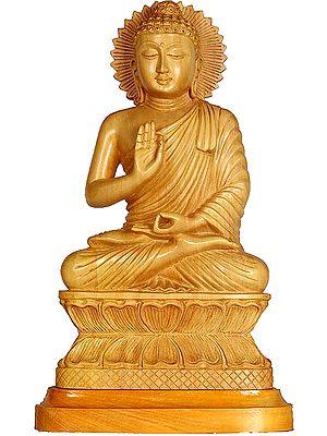 Blessing Mathura Buddha