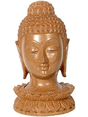 Buddha Head