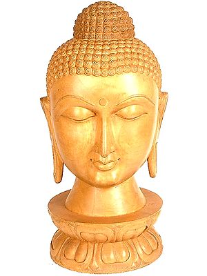 Buddha Head