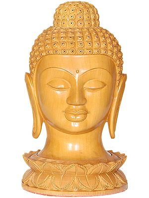 The Supreme Attributes of Enlightenment