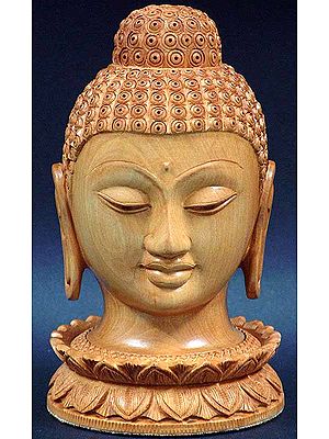 Buddha Head