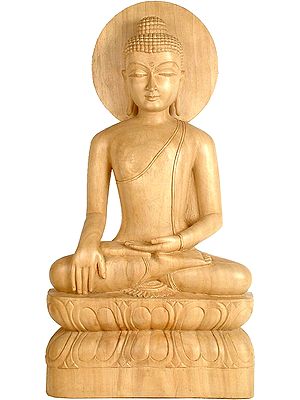 The State of ‘Nirvana’ While Still in Life