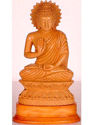 Buddha in the Abhaya Mudra