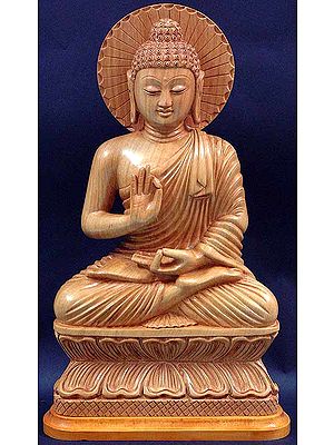 Buddha in the Abhaya Mudra