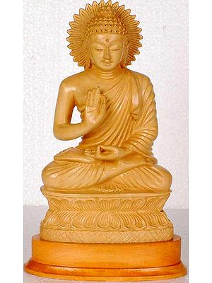 Buddha in the Abhaya Mudra