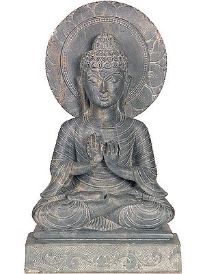 Buddha in the Dharmachakra Mudra