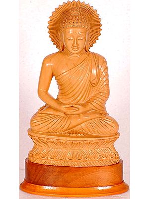 Buddha in the Dhyaan Mudra