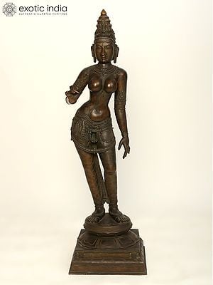 Bronze Hindu Goddess Statues