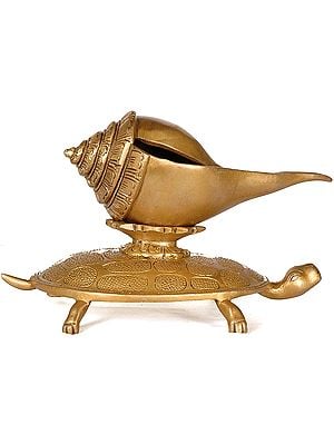 8" Conch on Tortoise In Brass | Handmade | Made In India