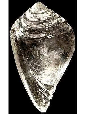Crystal Conch