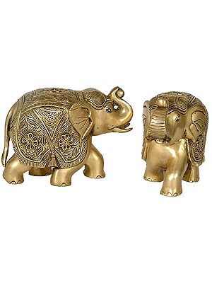 Auspicious Elephant Pair with Upraised Trunks