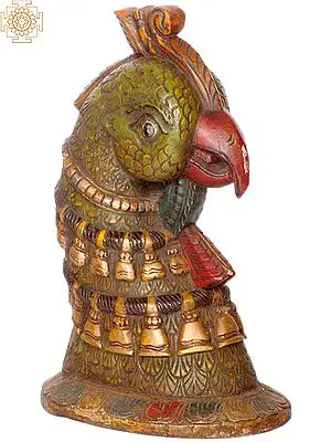 Parrot Head