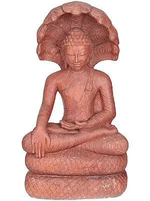 Large Size  Buddha Shielded by Muchalinda
