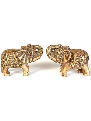 Elephant Pair with Upraised Trunks (Supremely Auspicious According to Vastu)