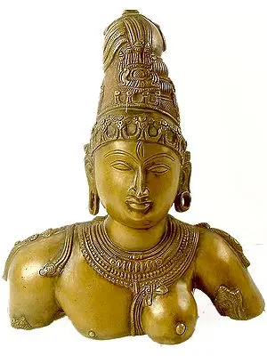 Ardhanarishvara Bust (Shiva-Shakti)