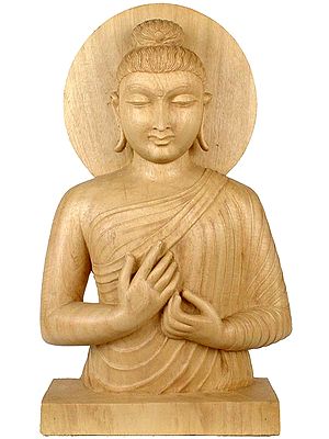 Gandhara Buddha in Dharma Chakra Mudra