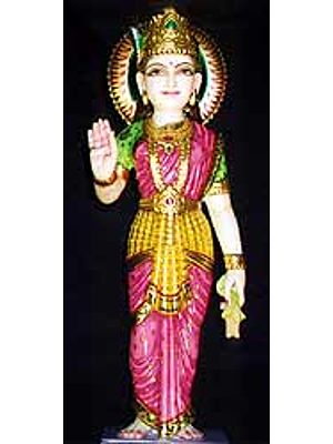 Goddess Lakshmi