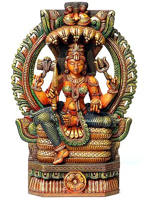 Goddess Mariamman