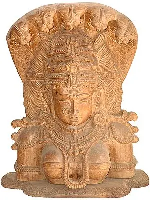 The Bust Image of Devi: A Wood Carving