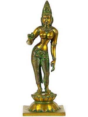 Goddess Parvati