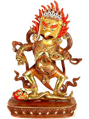 Kakasya - The Crow Headed Yogini