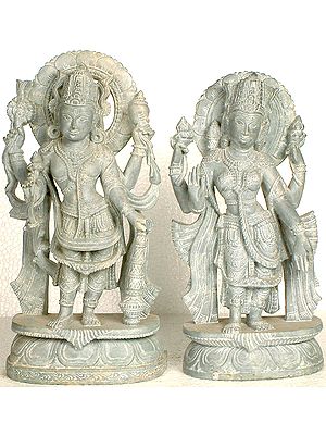 Lakshmi Narayana (Lakshmi and Vishnu)
