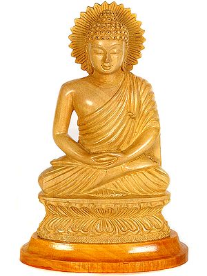 Lord Buddha in Meditation