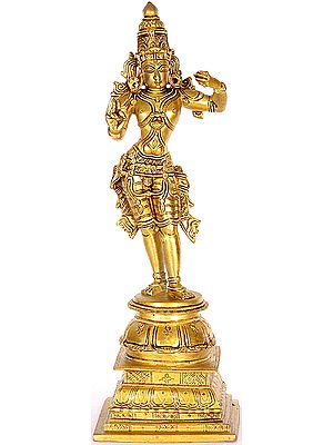 Lord Rama Standing on Inverted Lotus Pedestal