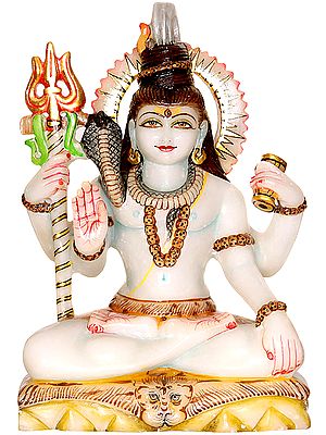 Lord Shiva Blesses His Devotees