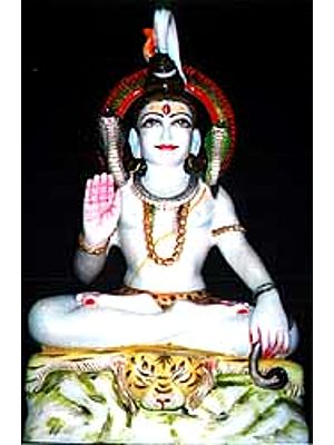 Lord Shiva