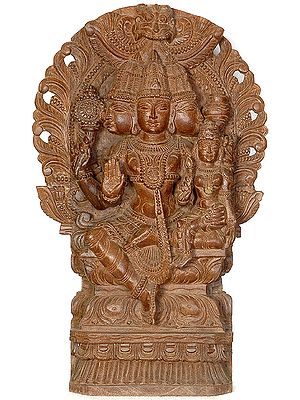 Lord Vishnu as Dhanvantari with His Shakti