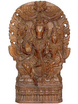 Lord Vishnu as Varaha with His Shakti