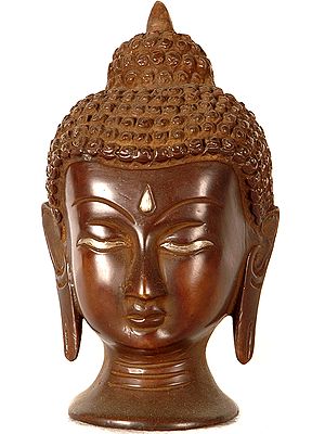 Mathura Buddha Head