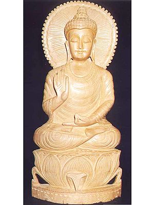Meditating Buddha
