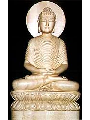 Meditating Buddha