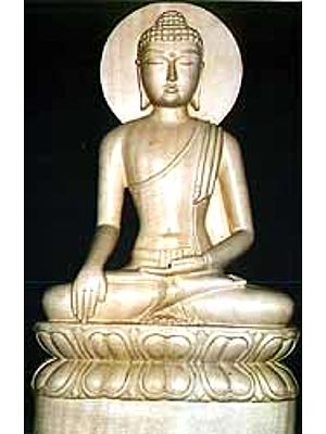 Meditating Buddha