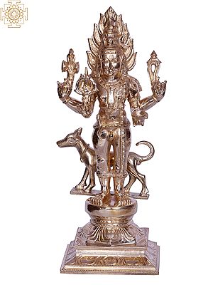 Hindu God Shiva Avatar Kala Bhairava