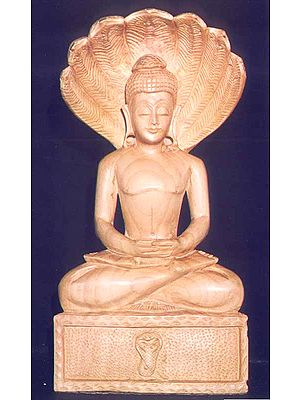Muchalinda and Buddha