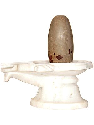 Narmada Shiva Linga with White Marble Base