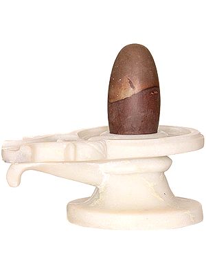 Narmada Shiva Linga with White Marble Base
