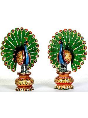 Peacock Pair