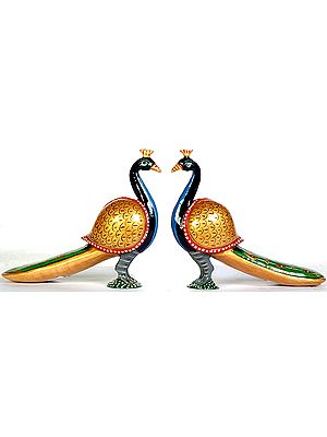 Peacock Pair